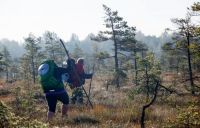 Kemeri National Park Travelers’ Day invites you to get acquainted with the rebirth of the Green Bog